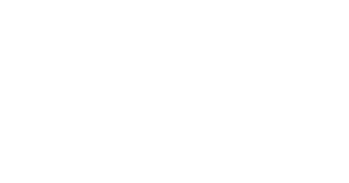 logo raygot blanc